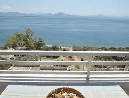 Atlas Zen Blue Apartment