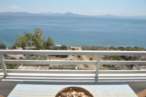 Atlas Zen Blue Apartment